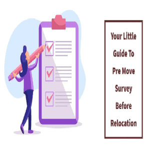 Pre-Move Survey